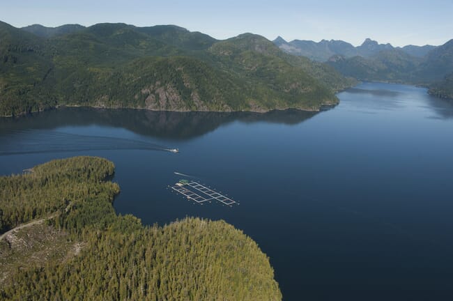 Aerial view of a salmon farm in a Canadian inlet.