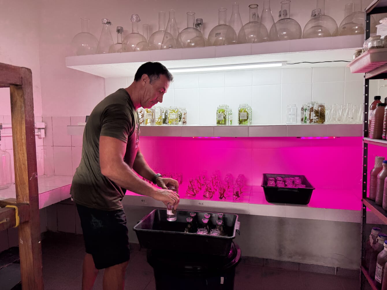 A biologist in a laboratory in Brazil.
