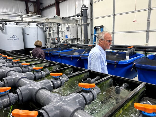 Two people touring an indoor fish farm