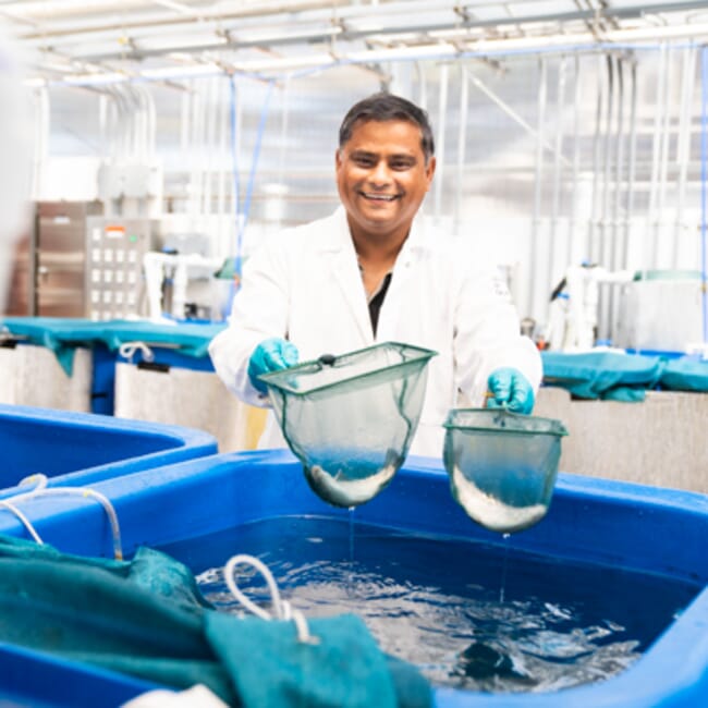 A man holding up fish in nets.