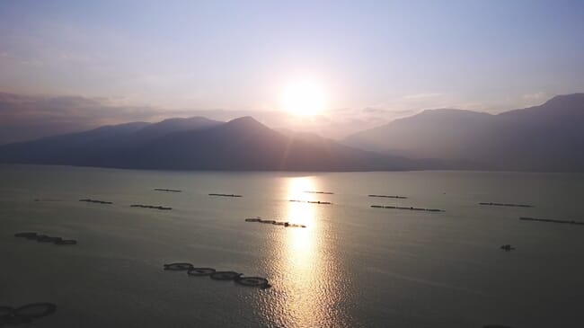 aerial view of fish cages