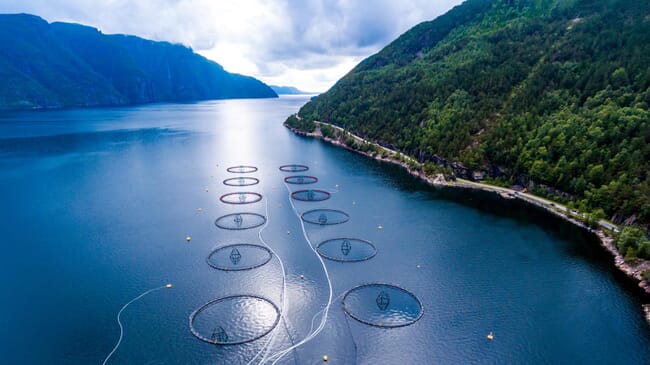 An aerial view of a salmon farm in a wooded fjord.