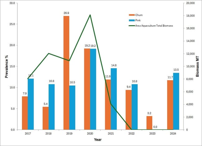 A graph.