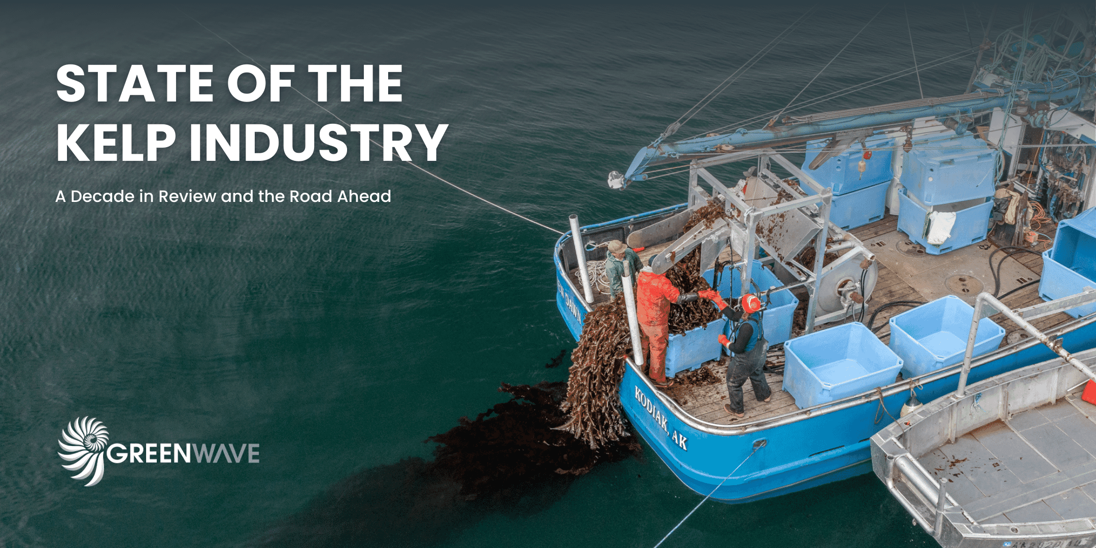 Report: North American kelp farming poised for growth