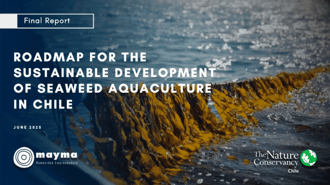 A cover image of a report analysing the potential of seaweed aquaculture in Chile.