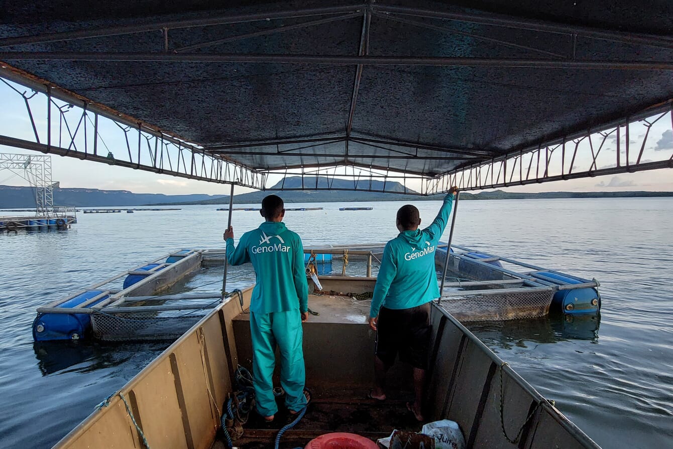 Two people standing on the edge of a fish pen.