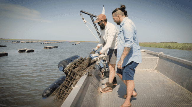 Two men on a boat looking at oysters