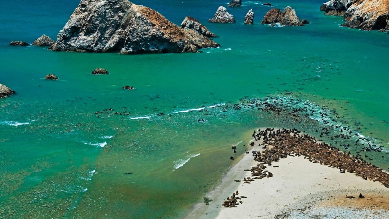 An aerial photo of a national park with seals.