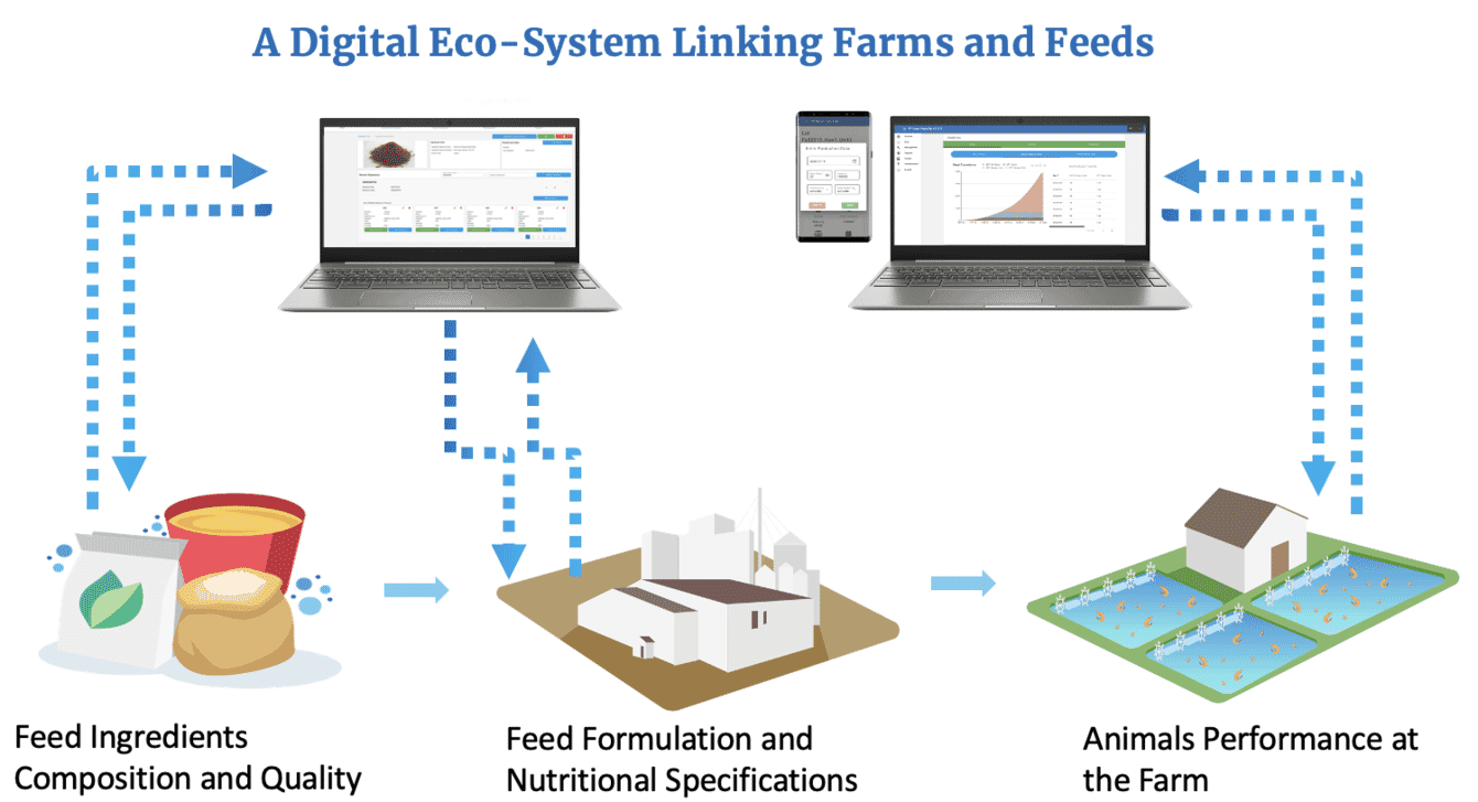 A diagram of a company's software.