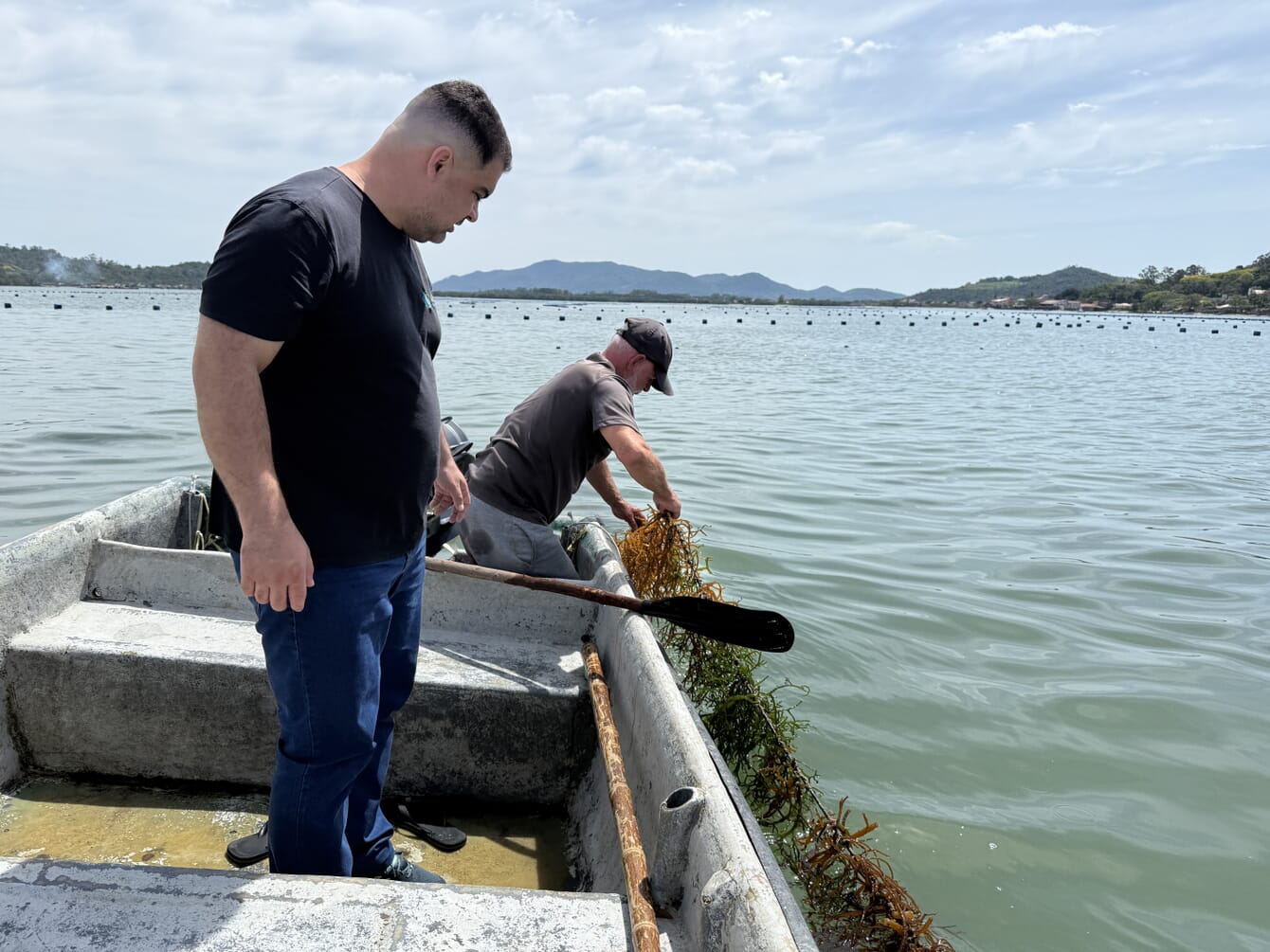 Two farms on a boat in Brazil pulling in red seaweed.