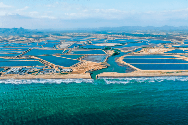 an aerial view of a shrimp farm