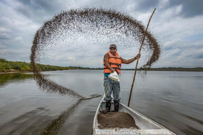 a man throwing fish food from a boat