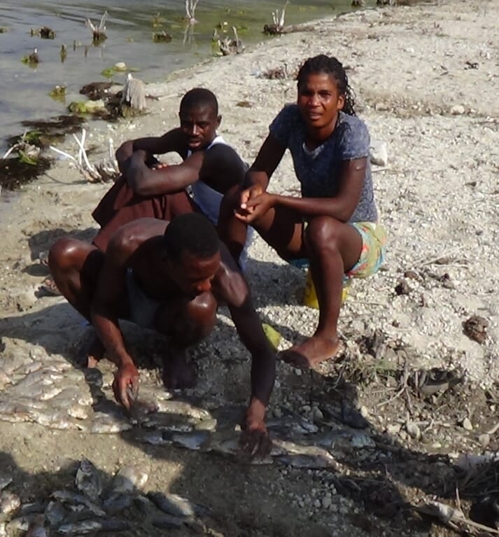 Aquaculture could help lift people in countries such as Haiti out of poverty