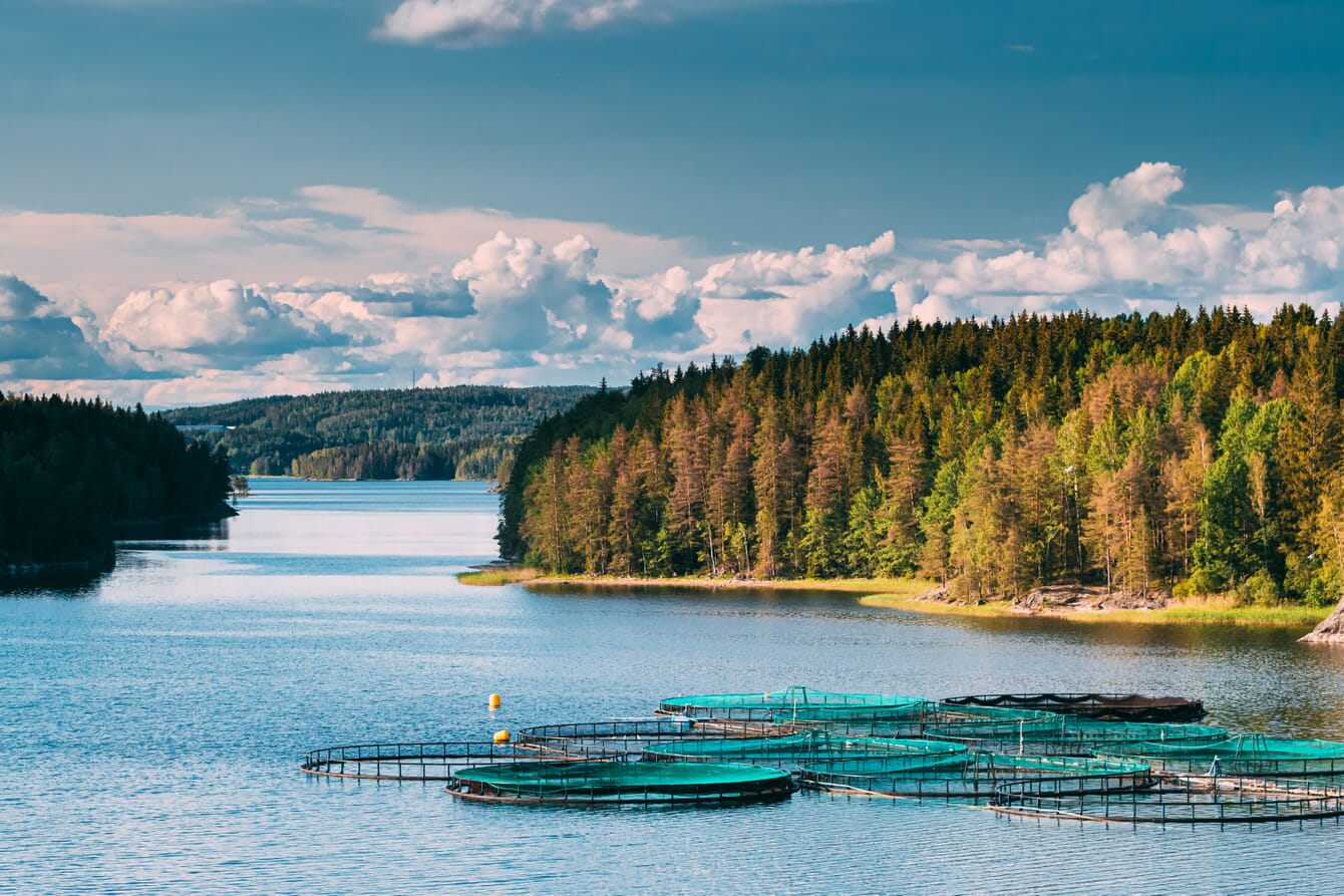 A photo of a fish farm in on a sunny day.