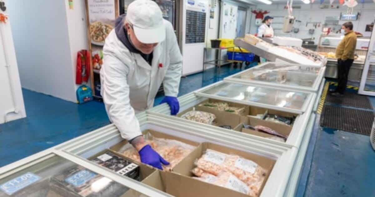 Seafish launches new tool for measuring seafood's carbon emissions ...