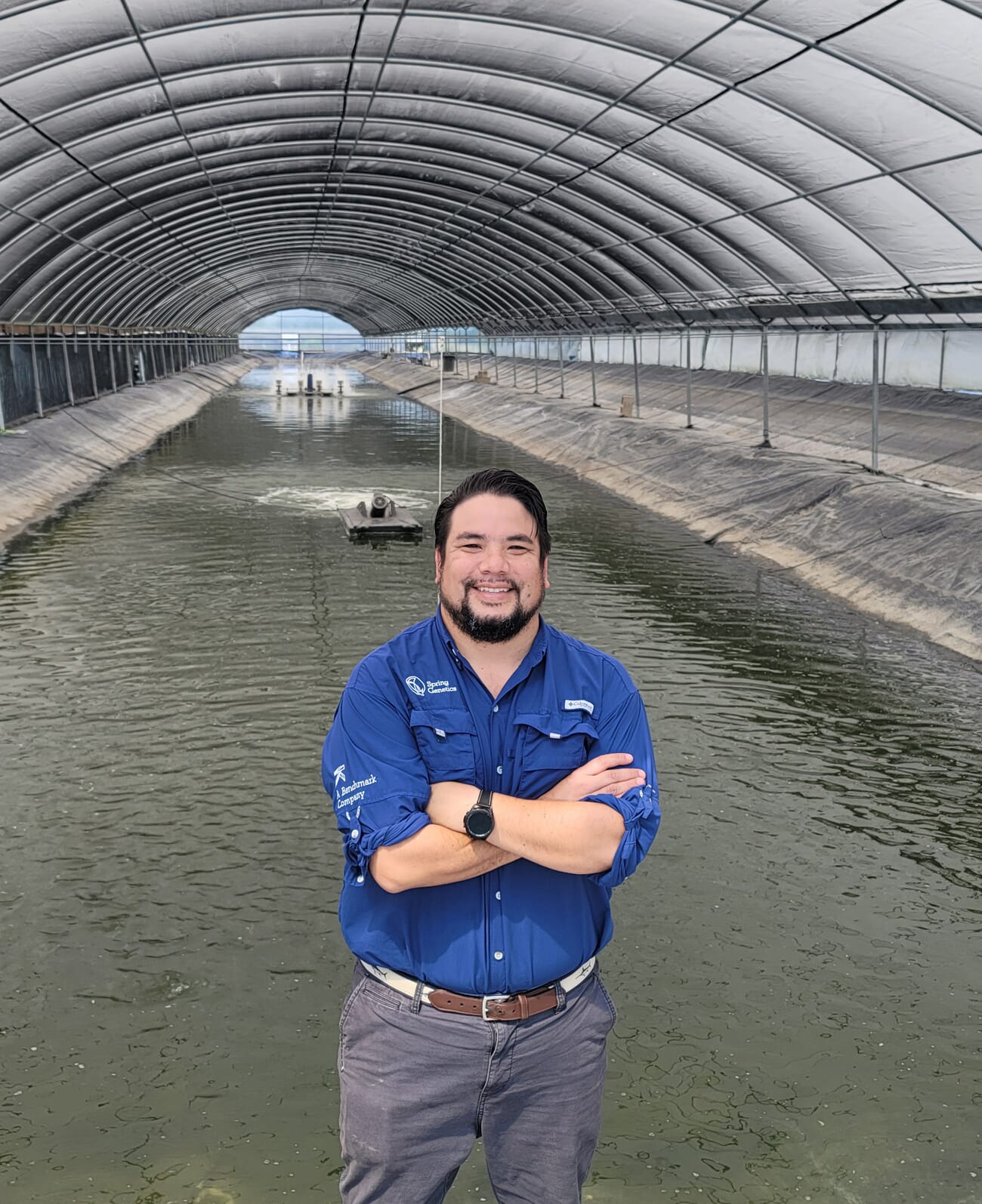 Taking tilapia breeding to the next level in LATAM | The Fish Site