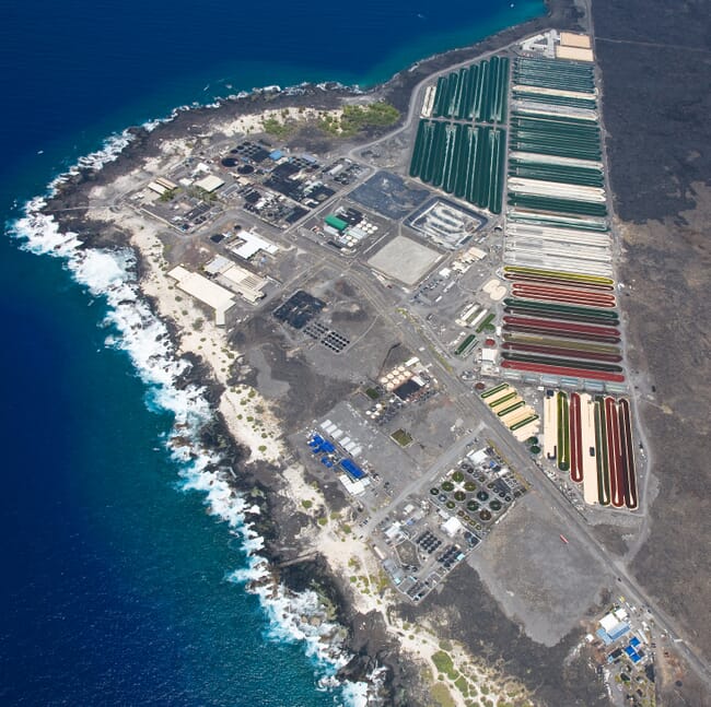 Aerial view of HOST Park.