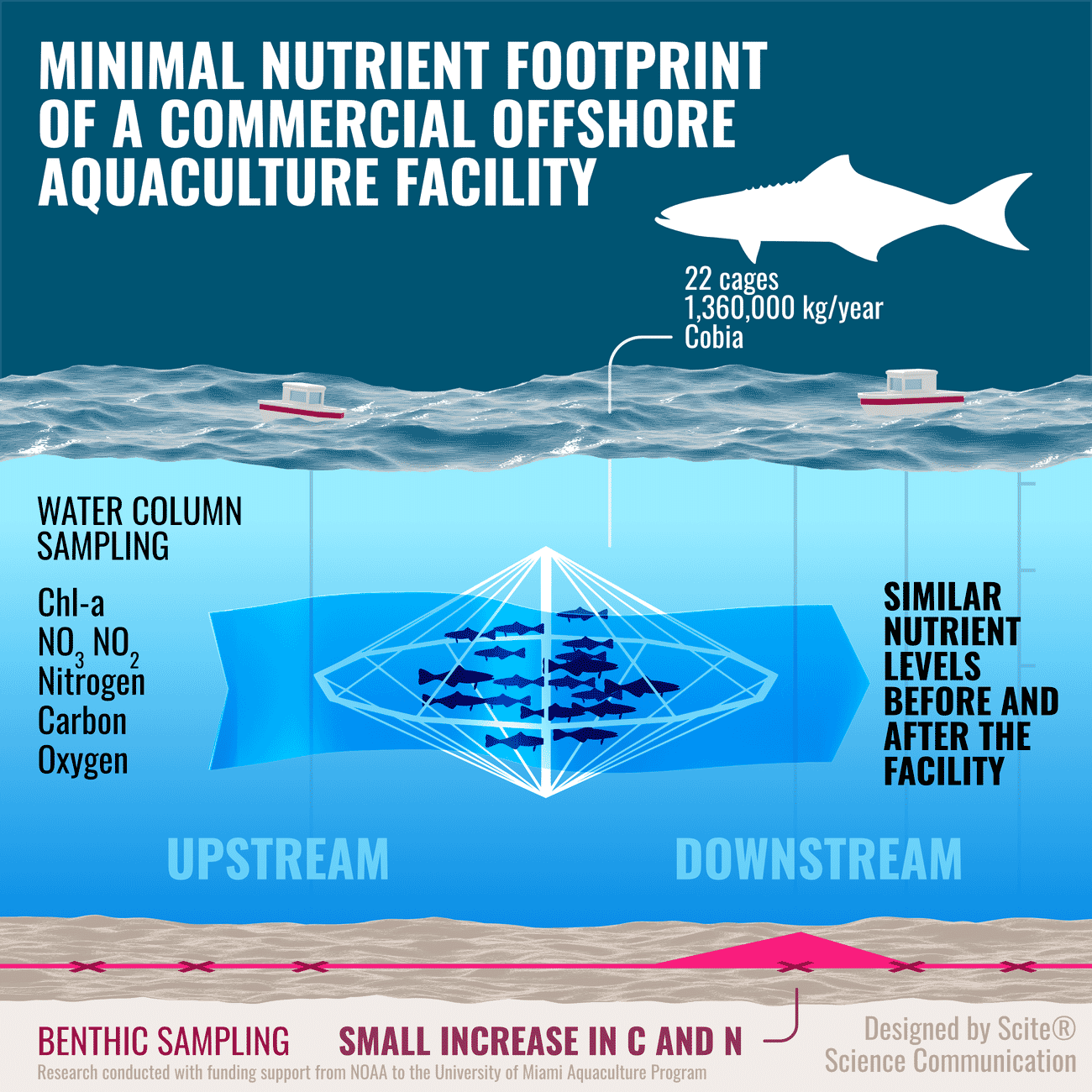 study-backs-offshore-aquaculture-expansion-the-fish-site