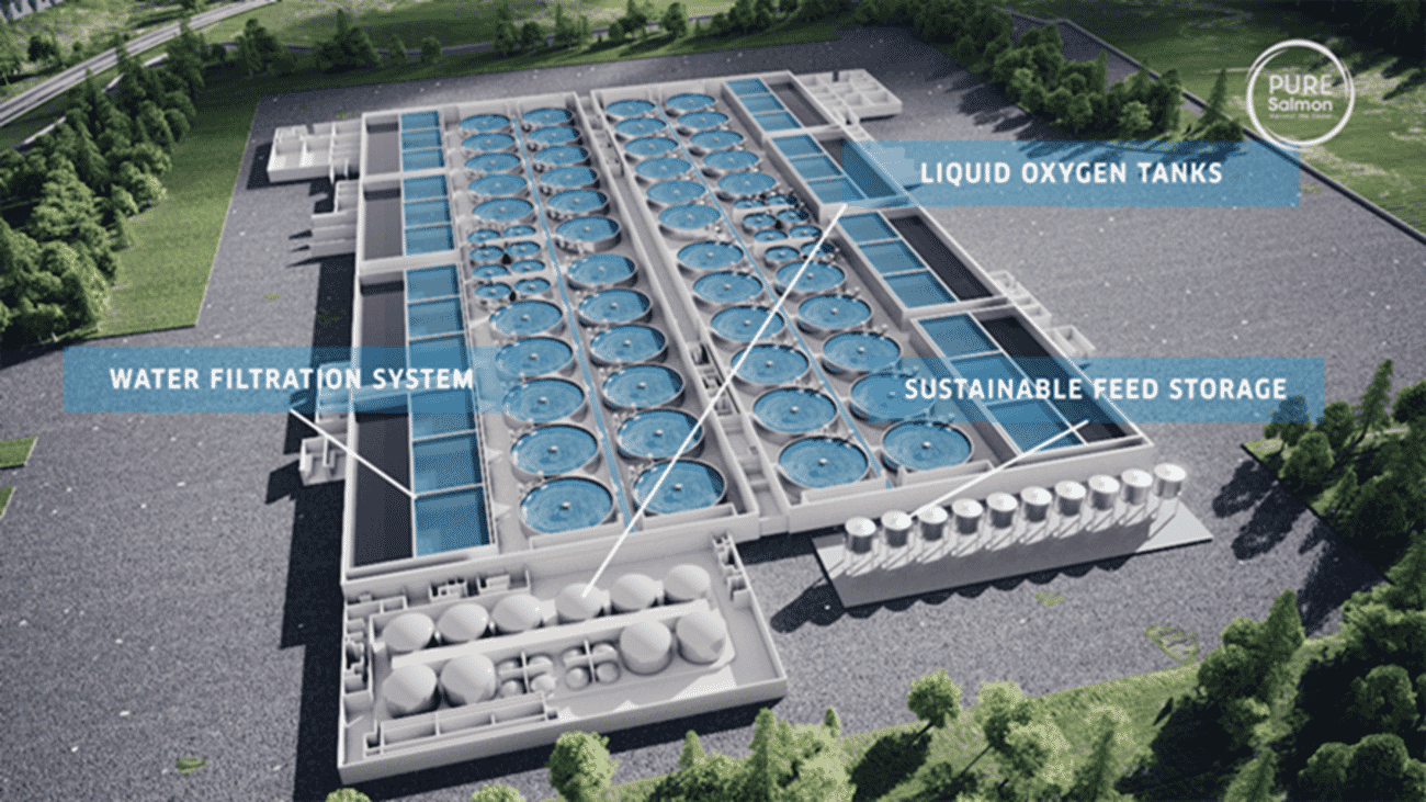 Landbased salmon farmer secures 20 million funding The Fish Site