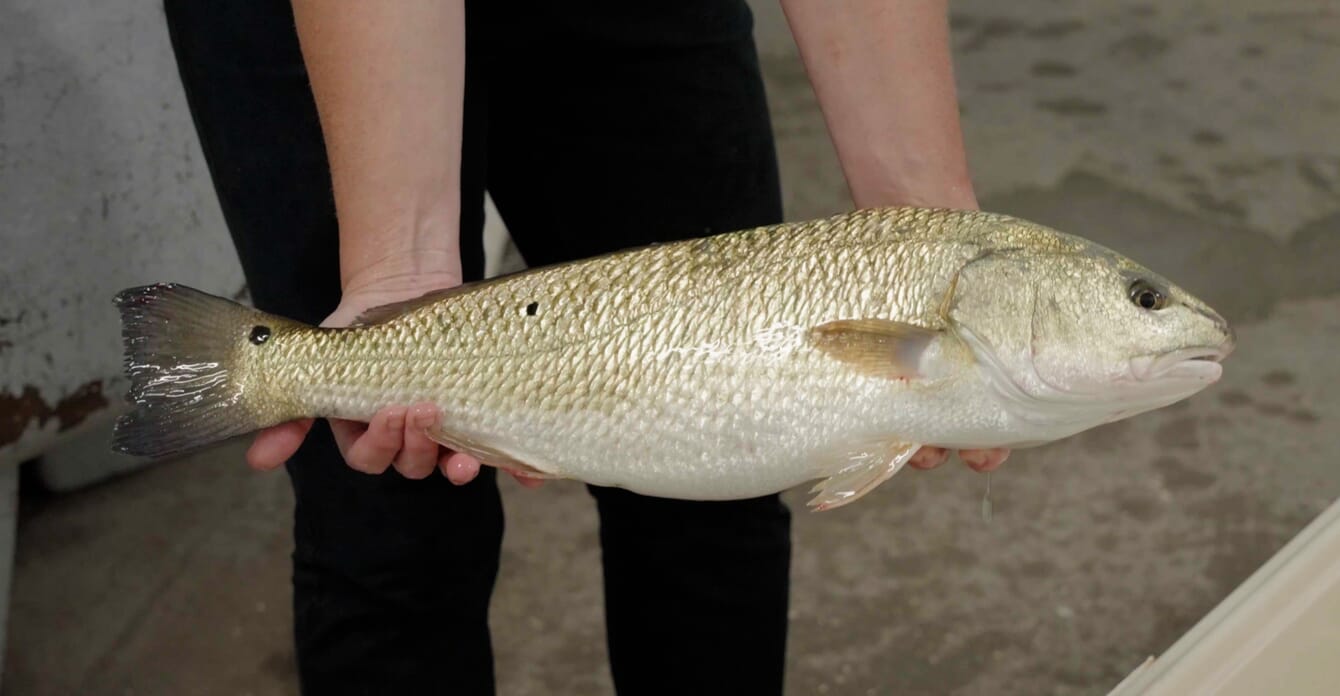 Person holding red drum