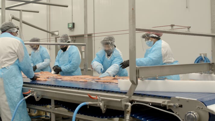 Mowi has been forced to lay off all 80 workers at its salmon processing plant in Surrey, BC, after Liberal politicians closed down all its farms in the Discovery Islands