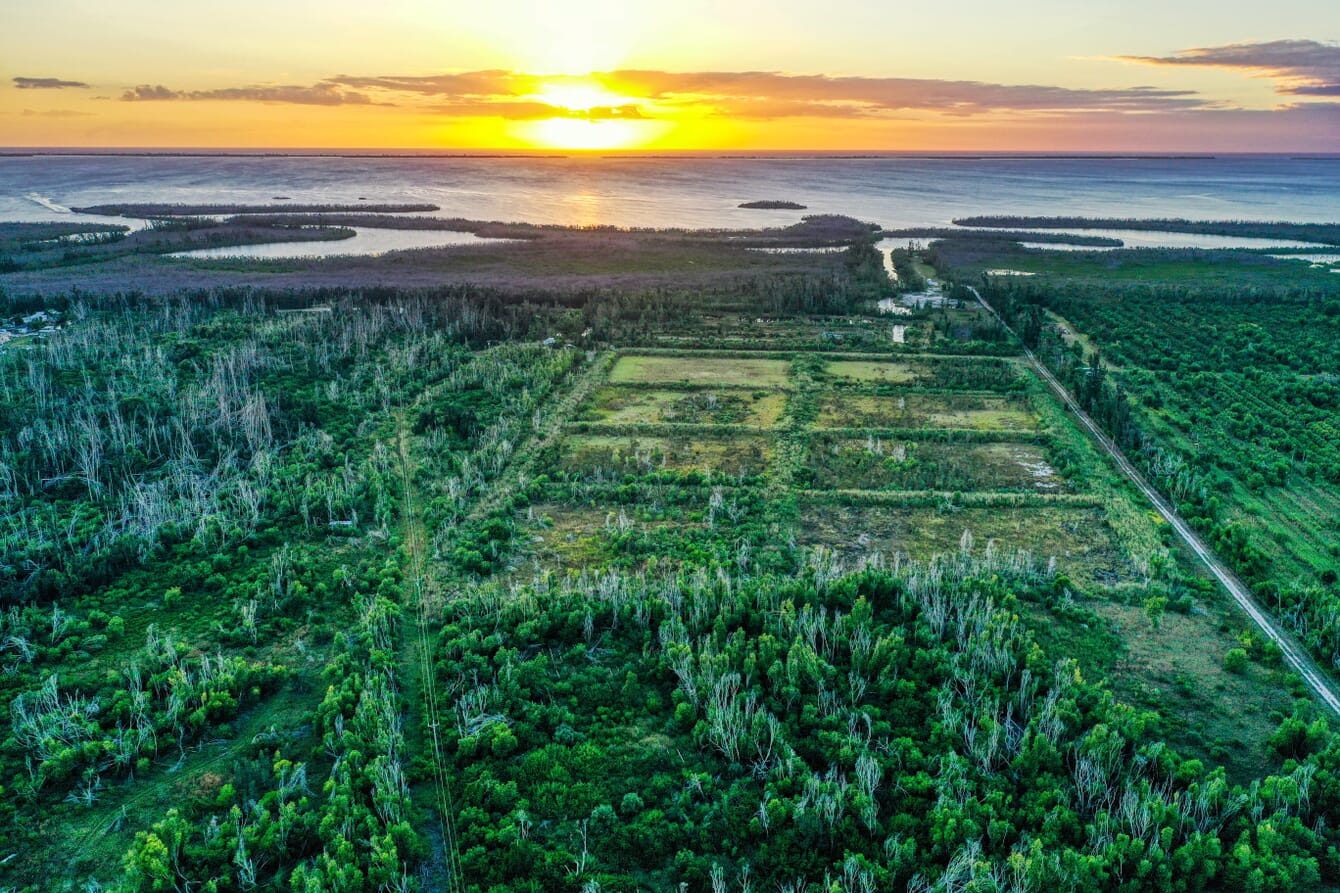 Area view of coastal landscape