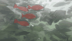 underwater image of fish swimming around in a net pen