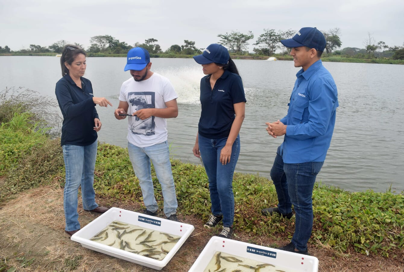 four people conversing beside a shrimp pond