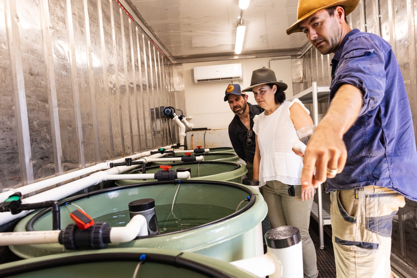 A group of people touring an indoor fish farm.