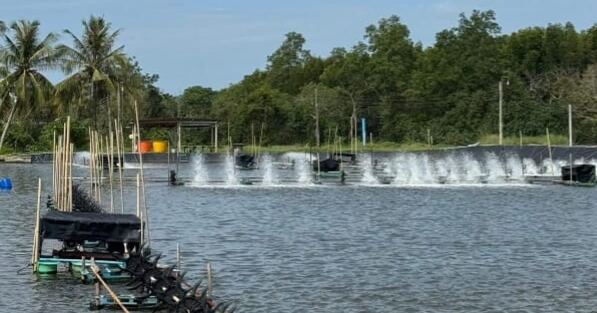 TARS 2025 to spotlight precision and innovation in shrimp aquaculture amid global challenges