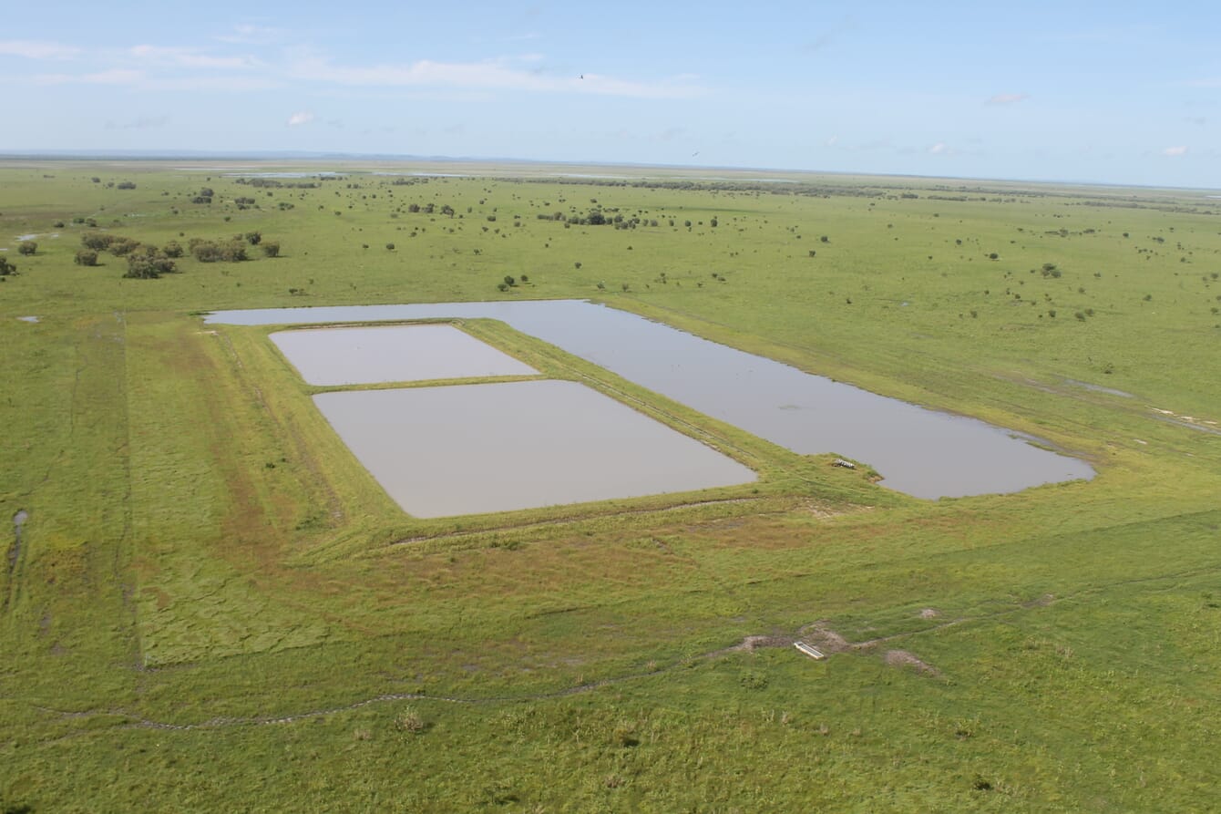 Shrimp pond in grass