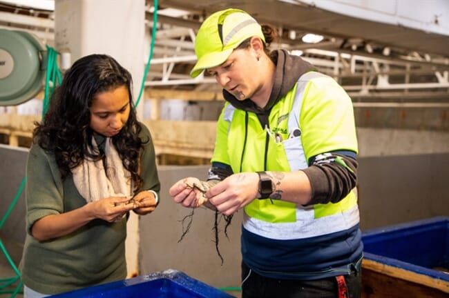 Man and a woman looking at seaweed sample