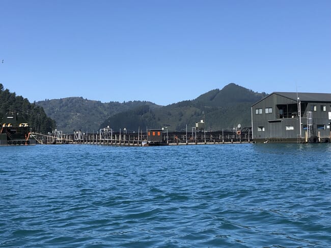 a harbour in New Zealand