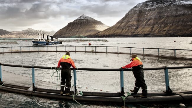 people standing on a sea cage