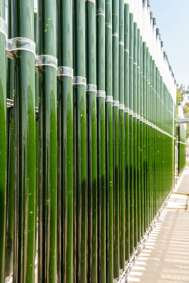 A series of large glass tubes.