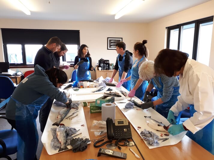 The Fish Vet Group's Virginia Iglesias running the practical session of the Smart Sampling training