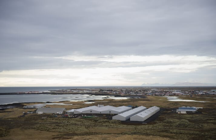 Stofnfiskur's hatchery in Iceland exports ova to salmon producers in over 20 countries