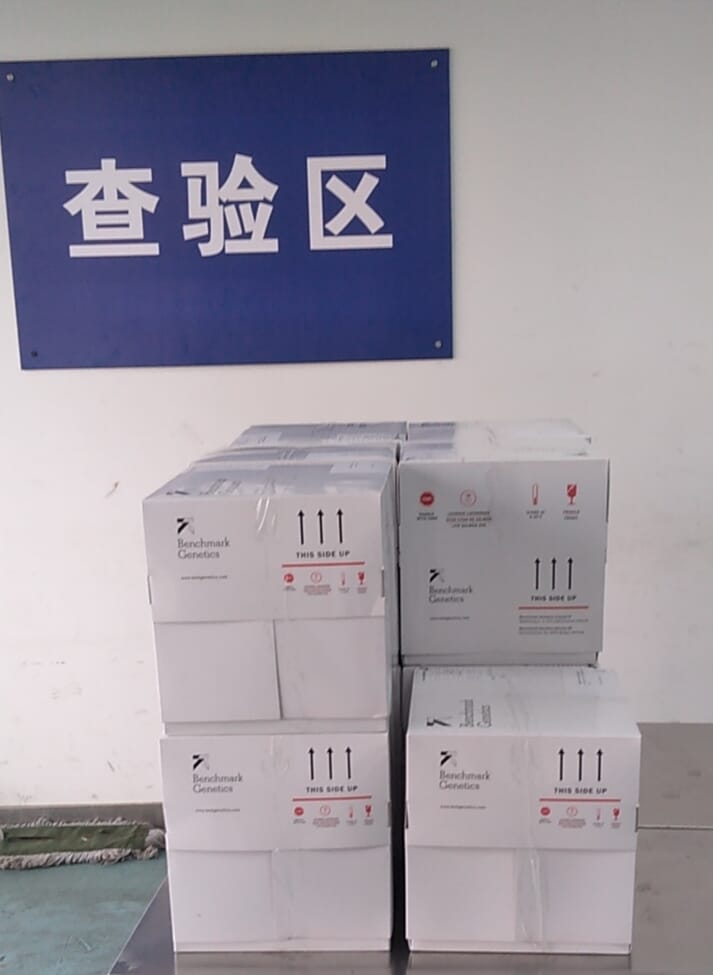 Boxes of salmon ova at Beijing airport
