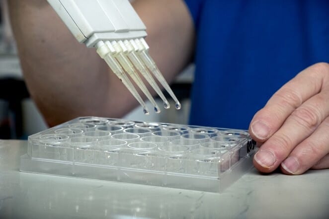 Person holding a micropipette over a row of test tubes