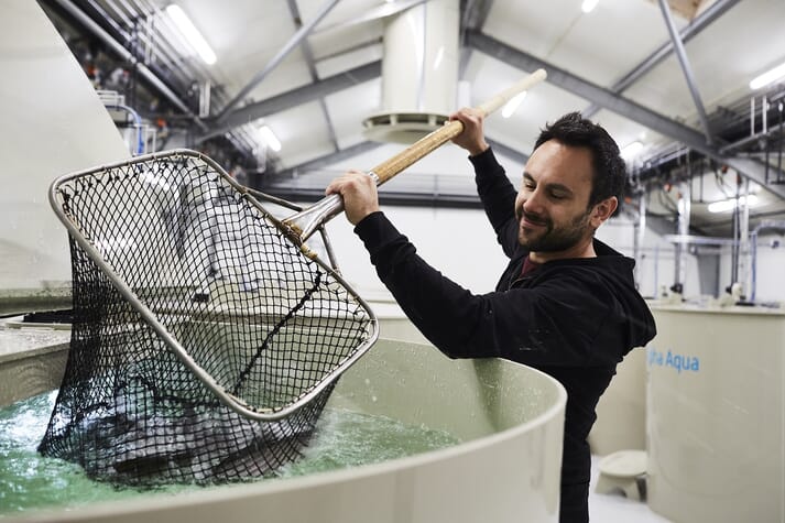 Man taking fish out of a tank with a net