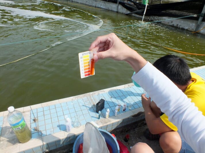 Farm technician taking a water quality sample at the edge of a shrimp pond