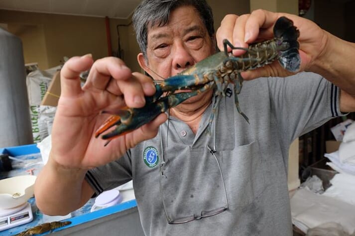 Khoo Eng Wah holding an Australian crayfish