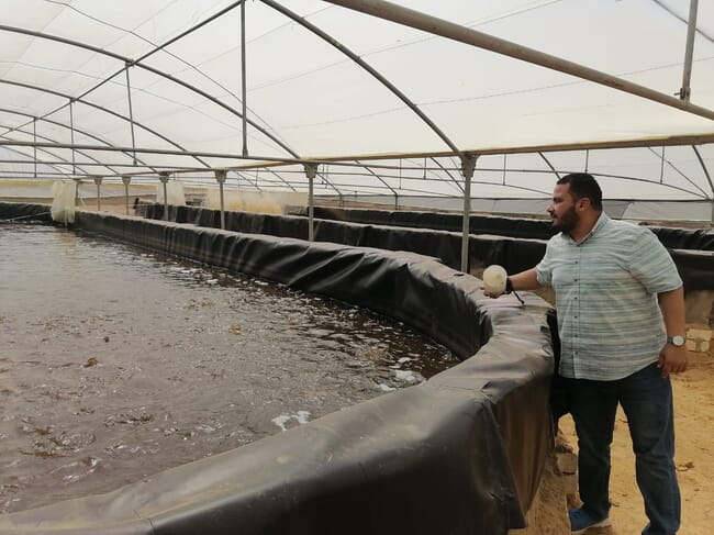 Man looking into a water tank