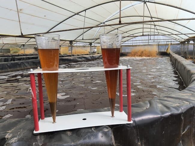 Two clear containers holding brown liquid on the edge of a water tank