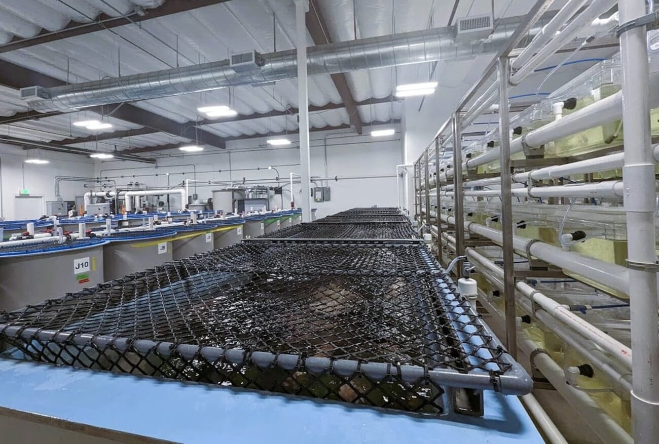 CAT opens aquaculture genome editing centre in San Diego The Fish Site