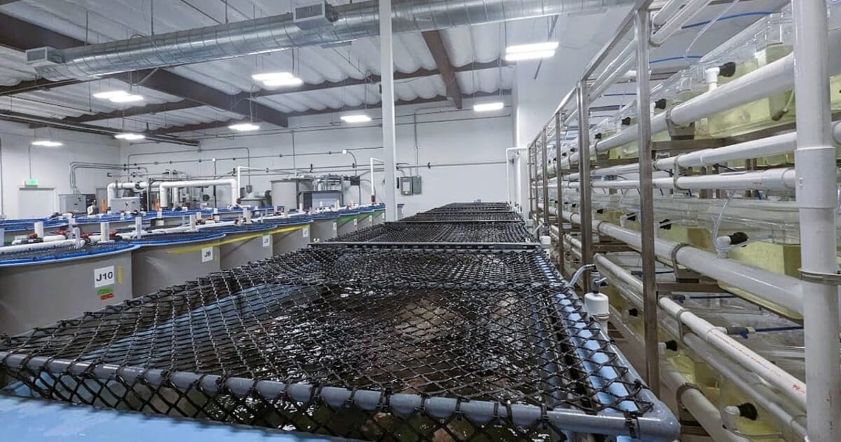 Le CAT ouvre le centre d’édition du génome de l’aquaculture à San Diego