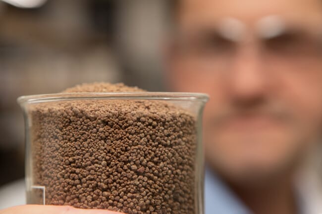 brown pellets in a clear container