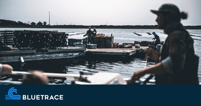 oyster farmers at work