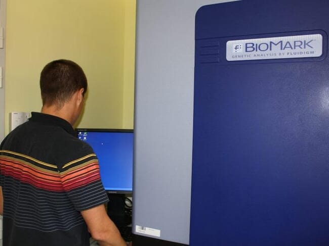 Uma pessoa olhando para uma tela de computador em um laboratório.