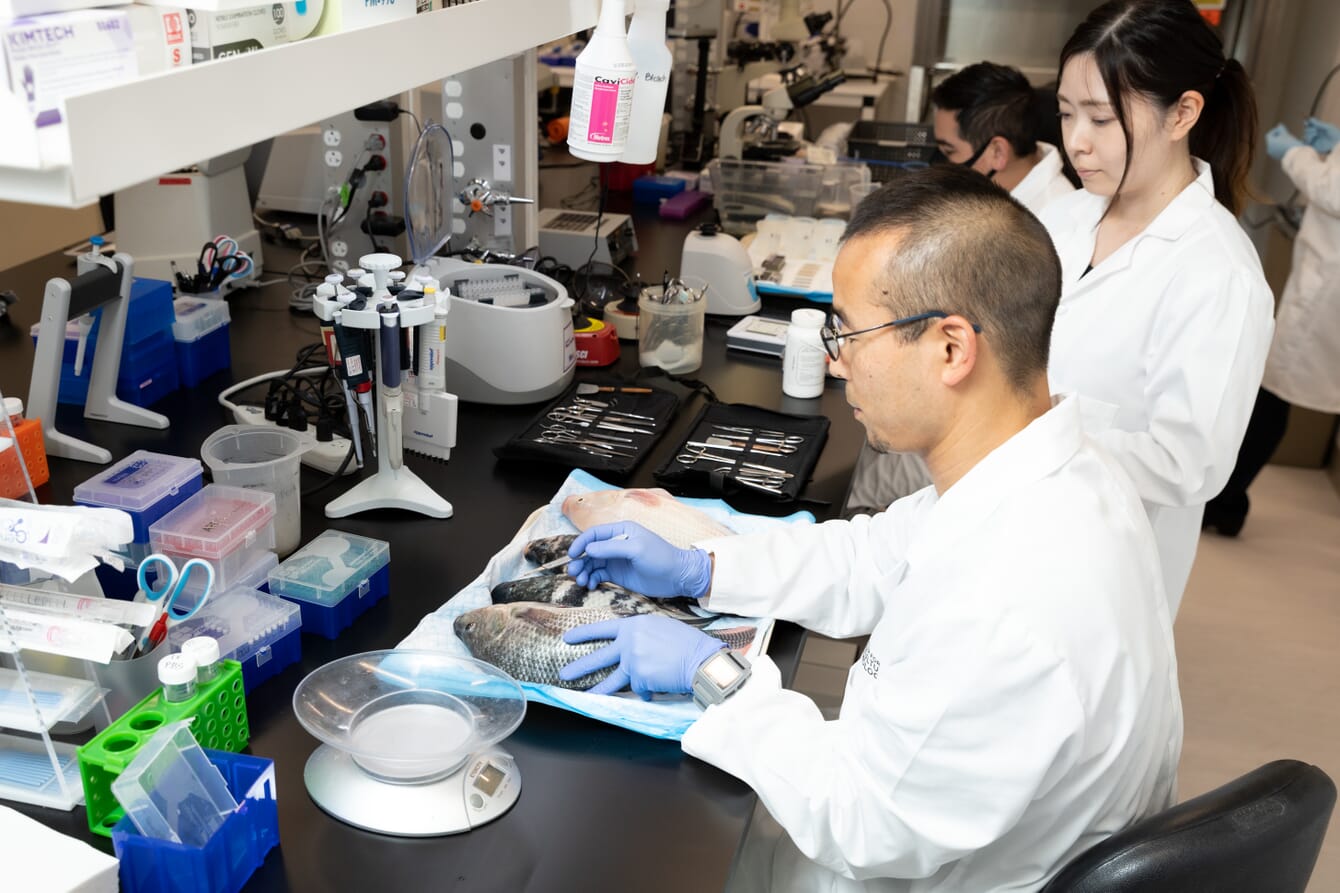 Investigadores de acuicultura en un laboratorio.